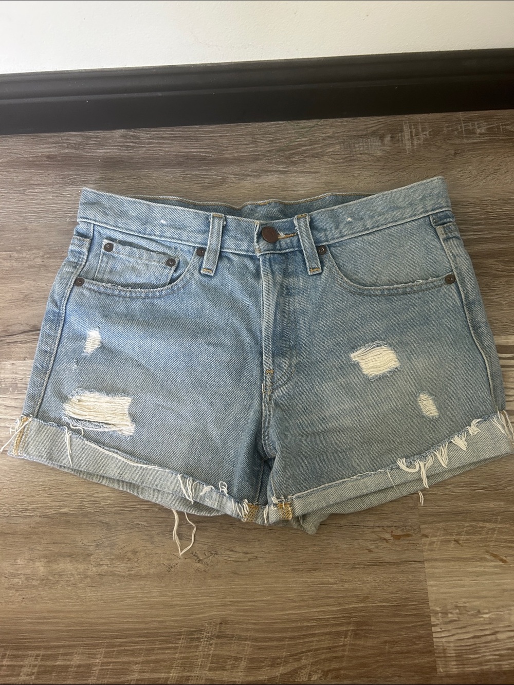 BDG Light Blue Distressed Denim Cutoff Shorts